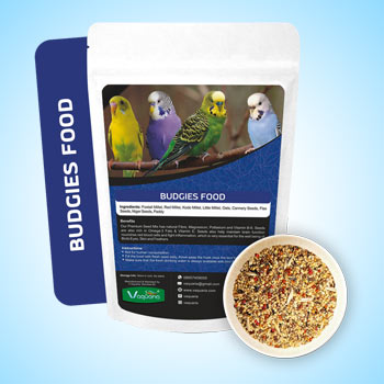 Budgies Food