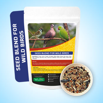  Seed Blend for Wild Birds