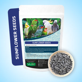 Bird food Sunflower Seeds