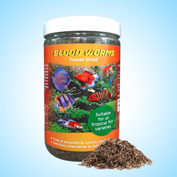 Freeze Dried Bloodworm in India